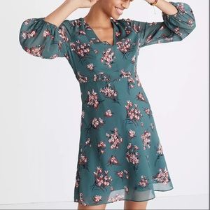 Madewell Marguerite Dress in Butterfly Garden